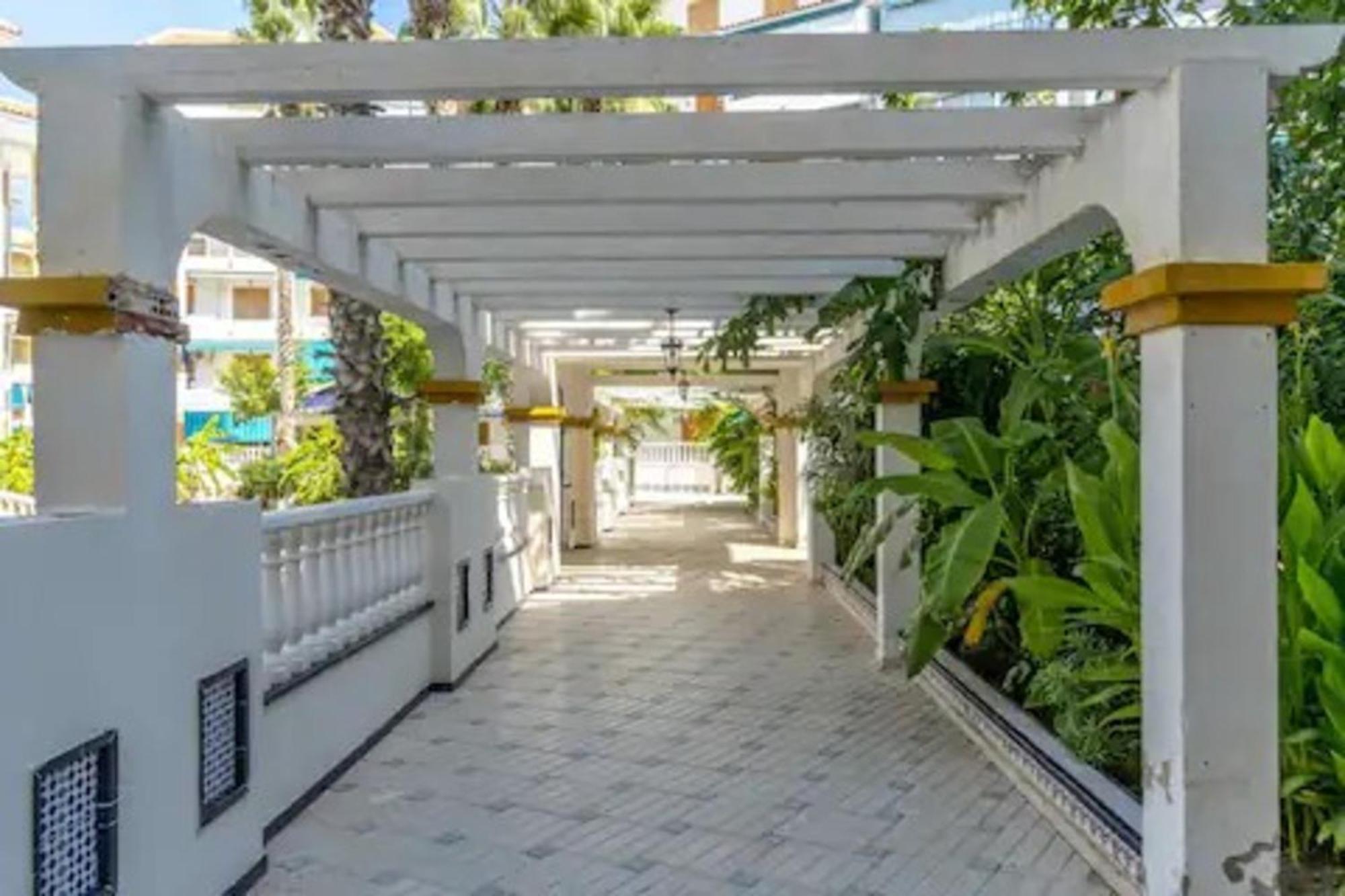 Pmt17 - Penthouse Apartment With Pool And Close To Beach La Mata  Esterno foto